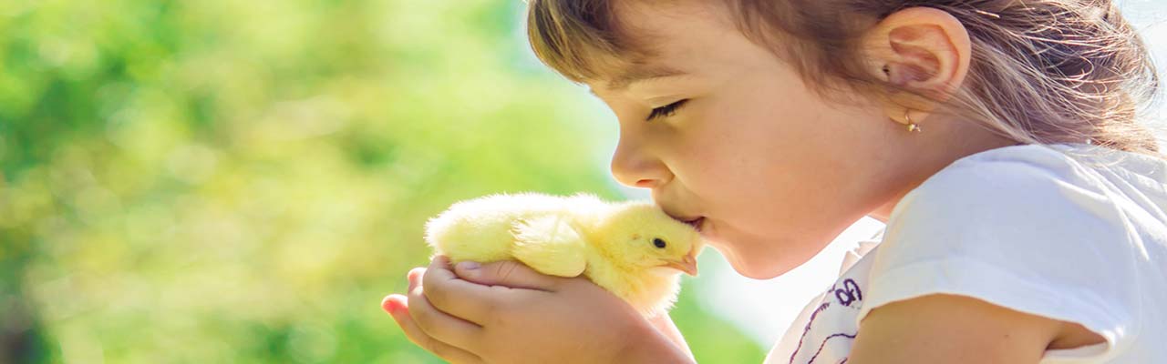 Ferme avec animaux pour enfants