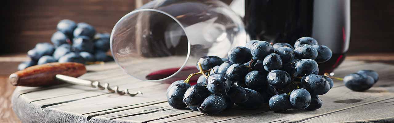 Fermes avec dégustation de vin dans la région des Langhe