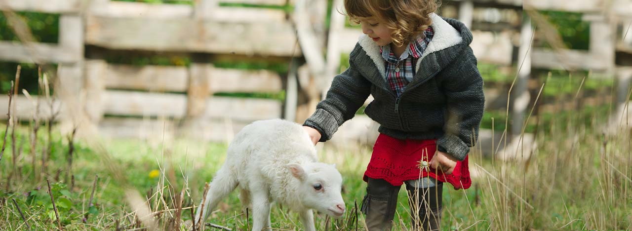 Ferme sicilienne pour les enfants