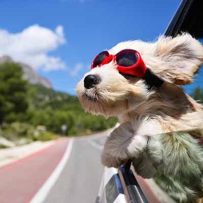 Agritourisme Pet-friendly en Italie