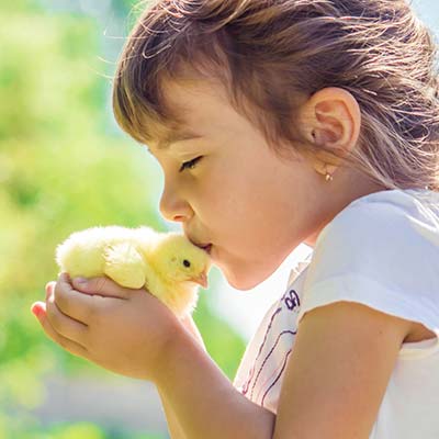 Vacances en famille: Ferme avec animaux pour enfants
