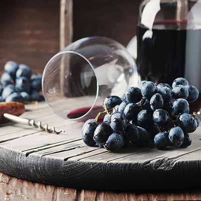 Vacances avec dégustation de vin dans les Langhe