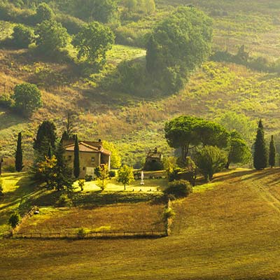 Votre vraie expérience de Ferme